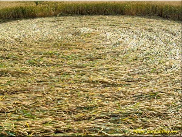 Standaardbuiten (3), Noord Brabant, Netherlands crop circle, aerial photo 12