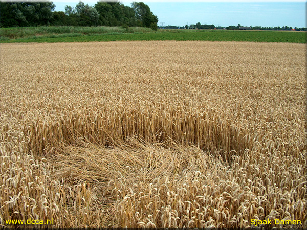 Standaardbuiten (4), Noord Brabant, Netherlands crop circle, aerial photo 4