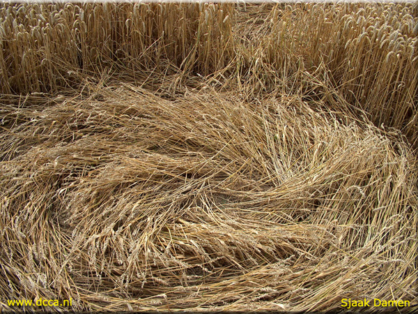 Standaardbuiten (4), Noord Brabant, Netherlands crop circle, aerial photo 5