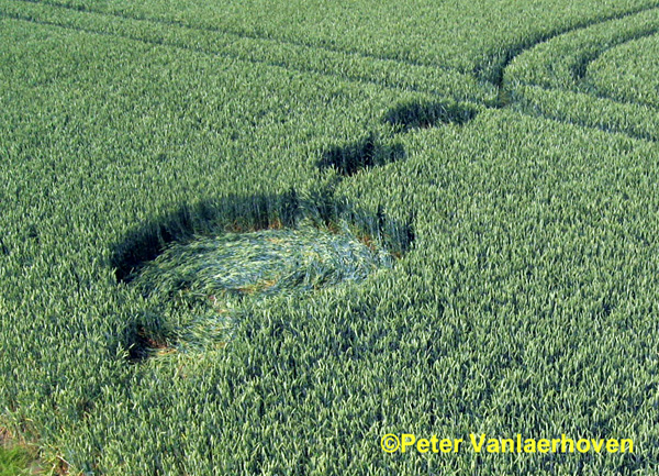 Standaardbuiten, Noord Brabant, Netherlands crop circle, aerial photo 8