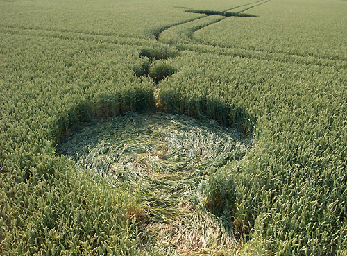 Standaardbuiten, Noord Brabant, Netherlands crop circle, aerial photo 2
