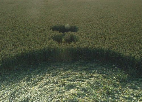 Standaardbuiten, Noord Brabant, Netherlands crop circle, aerial photo 3