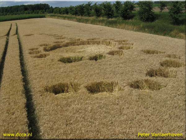 Zevenbergen, Noord Brabant, Netherlands crop circle, aerial photo 4
