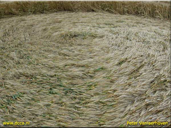 Zevenbergen, Noord Brabant, Netherlands crop circle, aerial photo 7