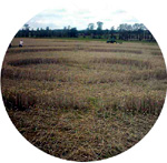Bourges crop circle, aerial photo 2