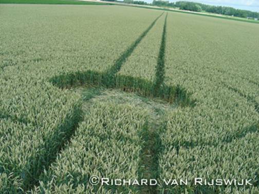 Standaardbuiten (2), Noord Brabant, Netherlands crop circle, aerial photo 8