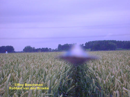 Zevenbergen, Noord Brabant, Netherlands crop circle, aerial photo 19