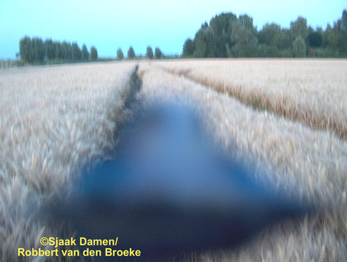 Zevenbergen, Noord Brabant, Netherlands crop circle, aerial photo 18