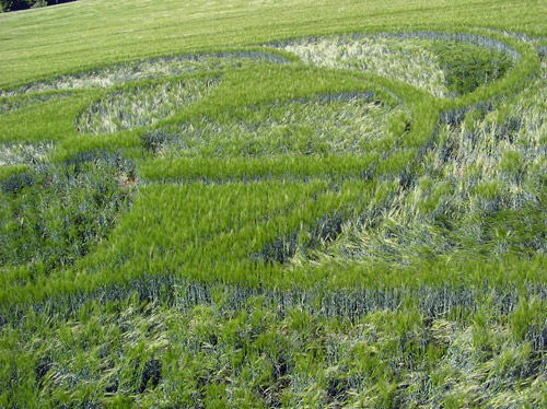 ZIERENBERG, HESSEN (Hessia), Germany crop circle, aerial photo 5