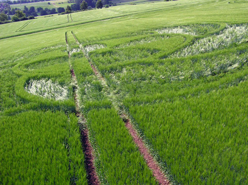 ZIERENBERG, HESSEN (Hessia), Germany crop circle, aerial photo 3