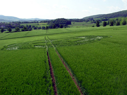 ZIERENBERG, HESSEN (Hessia), Germany crop circle, aerial photo 4