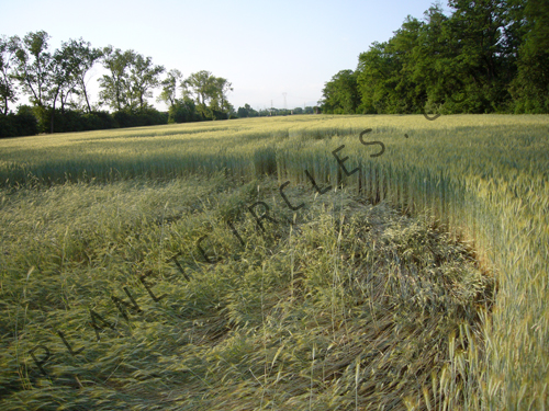 Cerchio nel grano a Brugherio (MB), Italy crop circle, aerial photo 6