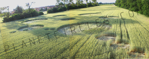 Cerchio nel grano a Brugherio (MB), Italy crop circle, aerial photo 3