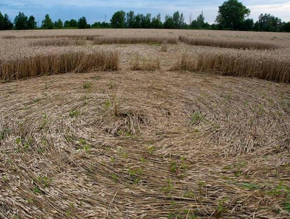 Cascina Piane (Brignano, Bergamo, Italy crop circle, aerial photo 2