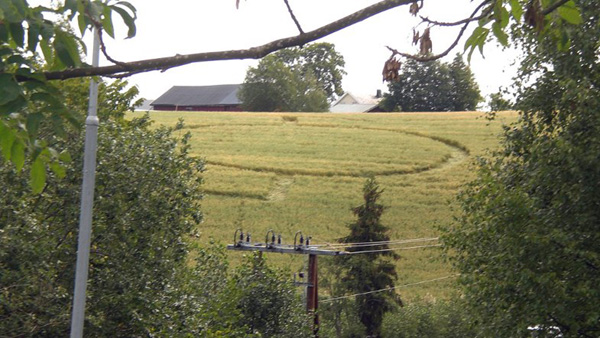 Åmodt farm, North of Oslo, Norway crop circle, aerial photo 8
