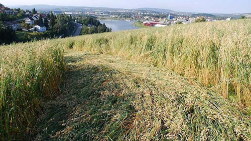 Åmodt farm, North of Oslo, Norway crop circle, aerial photo 5