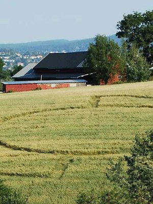 Åmodt farm, North of Oslo, Norway crop circle, aerial photo 6