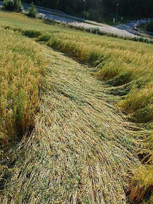 Åmodt farm, North of Oslo, Norway crop circle, aerial photo 7