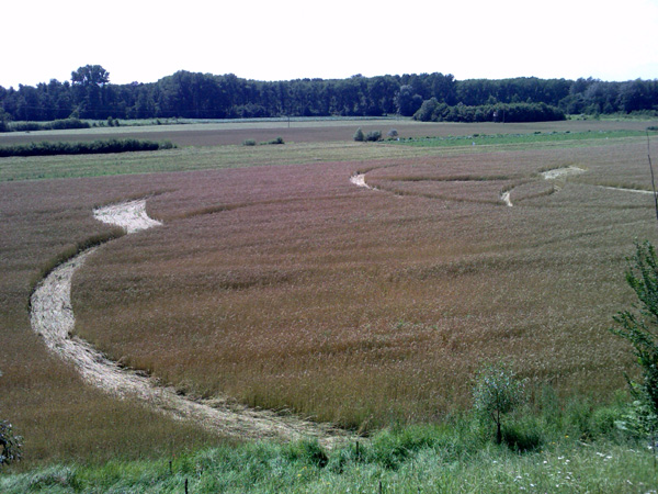 Strzyżawa k, Bydgoszczy, Poland crop circle, aerial photo 2