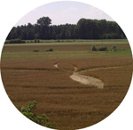 Strzyżawa k, Bydgoszczy, Poland crop circle, aerial photo 4
