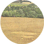 Kozarovce, Tlmace, Slovakia crop circle, aerial photo 7