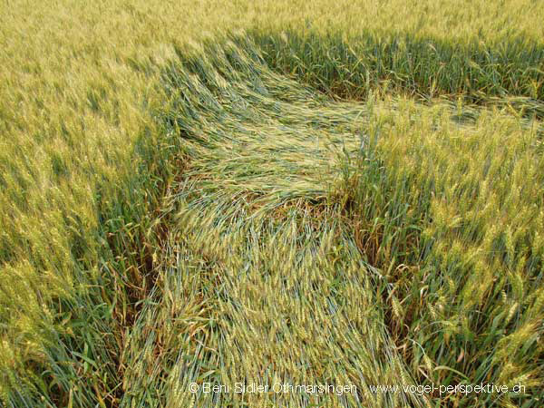 Thurgau, Switzerland crop circle, aerial photo 2