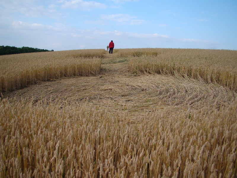 Crop Circle atSveti Martin, Croatia crop circle, aerial photo 5