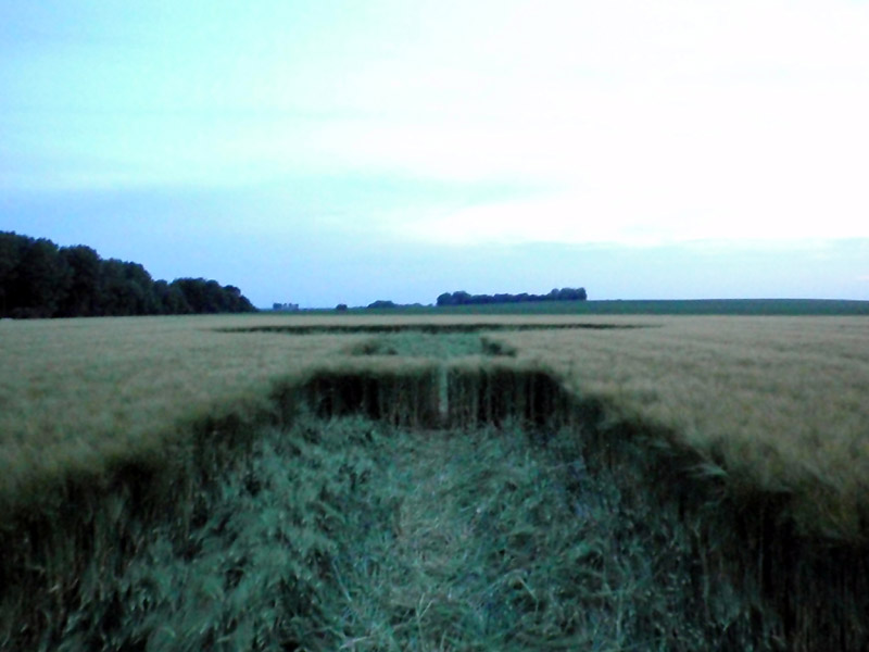 Wamont (Landen), Bosstraat, Belgium crop circle, aerial photo 3