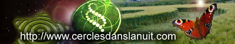 Wamont (Landen), Bosstraat, Belgium crop circle, aerial photo 13
