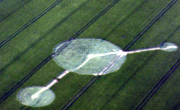 Wamont (Landen), Bosstraat, Belgium crop circle, aerial photo 5