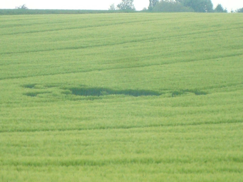 Lamine, nr Remicourt, Belgium crop circle, aerial photo 3