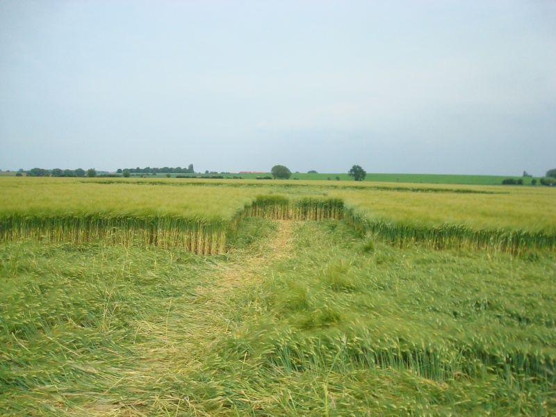 Wamont (Landen), Bosstraat, Belgium crop circle, aerial photo 11