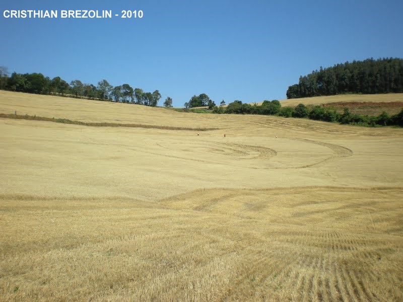 Ipuacú- Santa Catarina, Brazil crop circle, aerial photo 4