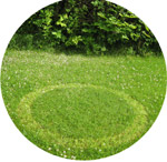 Ballestad gård, Skien, Norway crop circle, aerial photo 4