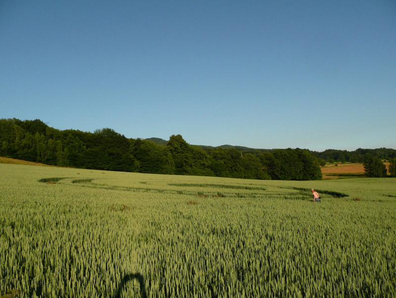 Jitrava, Czech Republic crop circle, aerial photo 10