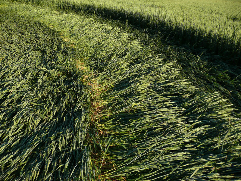 Jitrava, Czech Republic crop circle, aerial photo 8