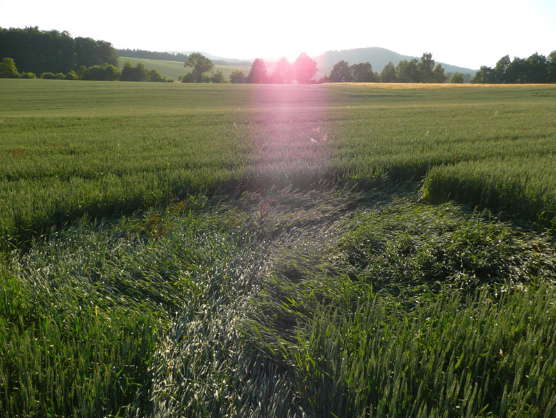 Jitrava, Czech Republic crop circle, aerial photo 6