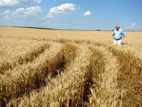 Radejov, South Moravia, Czech Republic crop circle, aerial photo 2