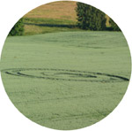 Radejov, South Moravia, Czech Republic crop circle, aerial photo 6