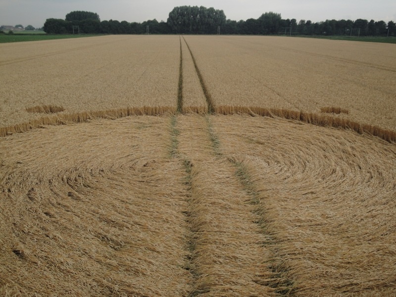 Zevenbergen (2), Noord Brabant, Netherlands crop circle, aerial photo 4