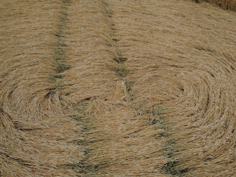 Zevenbergen (2), Noord Brabant, Netherlands crop circle, aerial photo 5