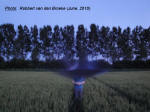 Etten-Leur & Zavenbergen, Netherlands crop circle, aerial photo 8