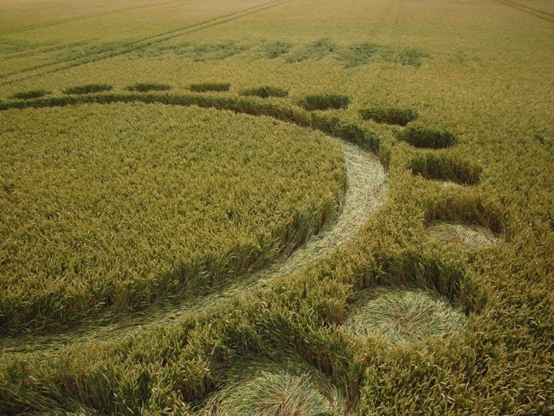 Zevenbergen (2), Noord Brabant, Netherlands crop circle, aerial photo 20