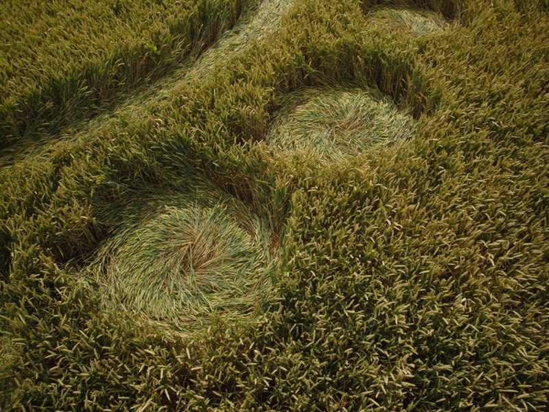Zevenbergen (2), Noord Brabant, Netherlands crop circle, aerial photo 21