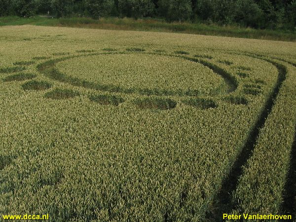 Zevenbergen (2), Noord Brabant, Netherlands crop circle, aerial photo 7