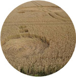 Brabant crop circle, aerial photo 4