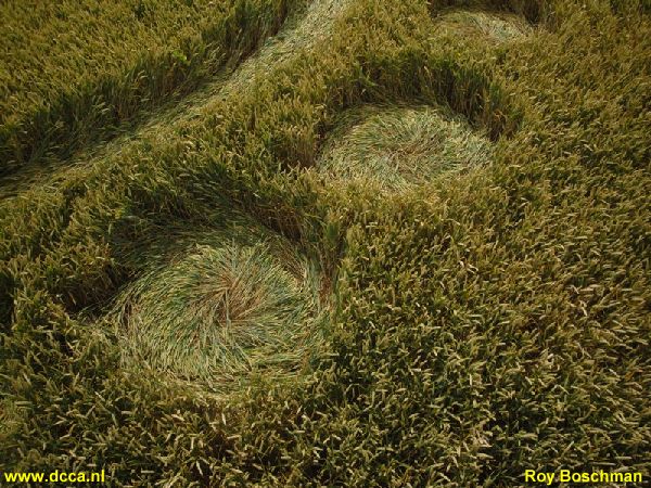 Zevenbergen (2), Noord Brabant, Netherlands crop circle, aerial photo 15