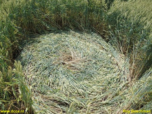 Standdaarbuiten (1), Noord Brabant, Netherlands crop circle, aerial photo 4