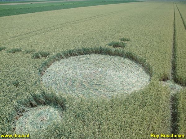 Standdaarbuiten (1), Noord Brabant, Netherlands crop circle, aerial photo 2