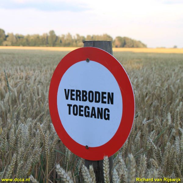 Zevenbergen (2), Noord Brabant, Netherlands crop circle, aerial photo 18